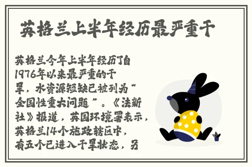 姐姐的秘密免费观看完整版